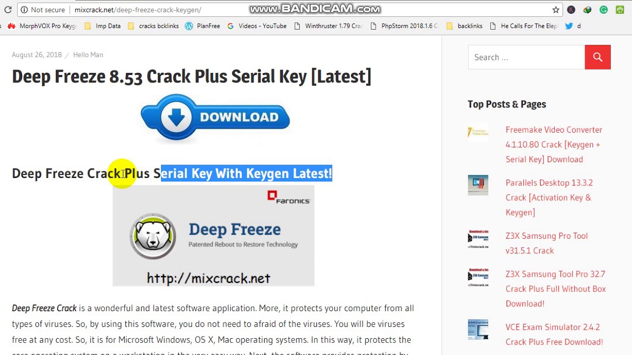 download deep freeze crack